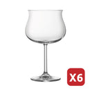 RIMS COLLECTION TULIP 575ML (6 PIECES)