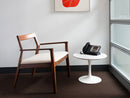 Krusin Lounge Chair With Armrests