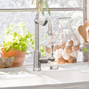 Villeroy & Boch Avia 2.0 Single Lever Kitchen Mixer - Ideali