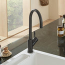 Villeroy & Boch Umbrella Single Lever Kitchen Mixer - Ideali
