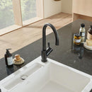 Villeroy & Boch Umbrella Single Lever Kitchen Mixer - Ideali