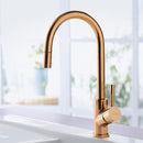 Villeroy & Boch Umbrella Flex Single Lever Kitchen Mixer - Ideali