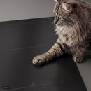 Bosch Series 6 Vented Induction Hob 80cm PVQ81AH26E