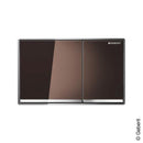 Geberit Omega60 Flush Plate - Ideali