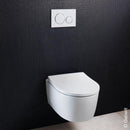 Geberit Sigma20 Flush Plate - Ideali