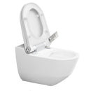 LAUFEN Cleanet Riva descaling agent