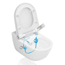 LAUFEN Cleanet Riva odour filter and descaling agent