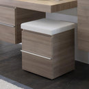 Laufen Case Storage Unit On Castors - Ideali