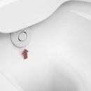 Laufen Cleanet Riva Shower Head, Cover Ring And Service Lever - Ideali