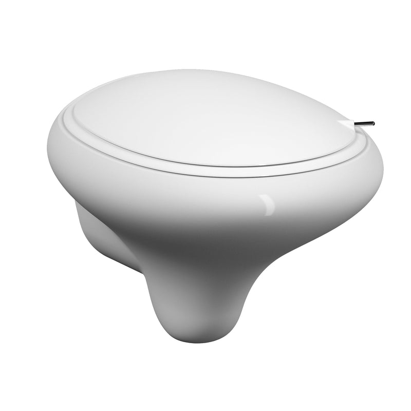 VitrA Istanbul VitrAflush 2.0 Toilet with Bidet Function