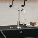 Villeroy & Boch Avia 2.0 Single Lever Kitchen Mixer - Ideali