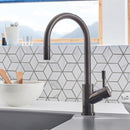 Villeroy & Boch Umbrella Flex Single Lever Kitchen Mixer - Ideali