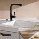 Villeroy & Boch Steel Shower Kitchen Mixer - Ideali