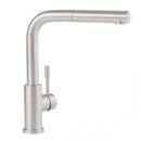 Villeroy & Boch Steel Shower Kitchen Mixer - Ideali